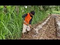A SIMPLE SMART TOOL USED BY FARMERS TO MIX DOLOMITE FERTILIZER WITH SOIL - Agriculture Farming