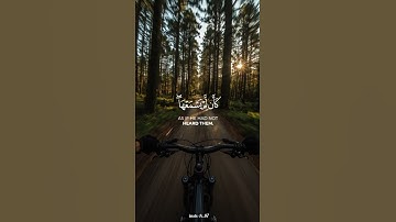 وَيۡلٞ لِّكُلِّ أَفَّاكٍ أَثِيمٖ | سورة الجاثية #قرآن