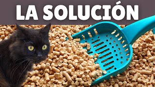 ARENA CASERA para gatos ➡ ¿Merece la pena?