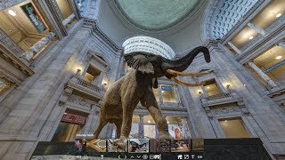 видео Виртуальные музеи мира