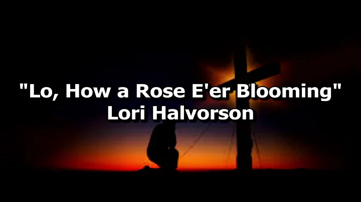 Lo How a Rose Lori Halvorson