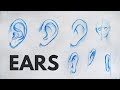 How to Draw Ears - Tutorial