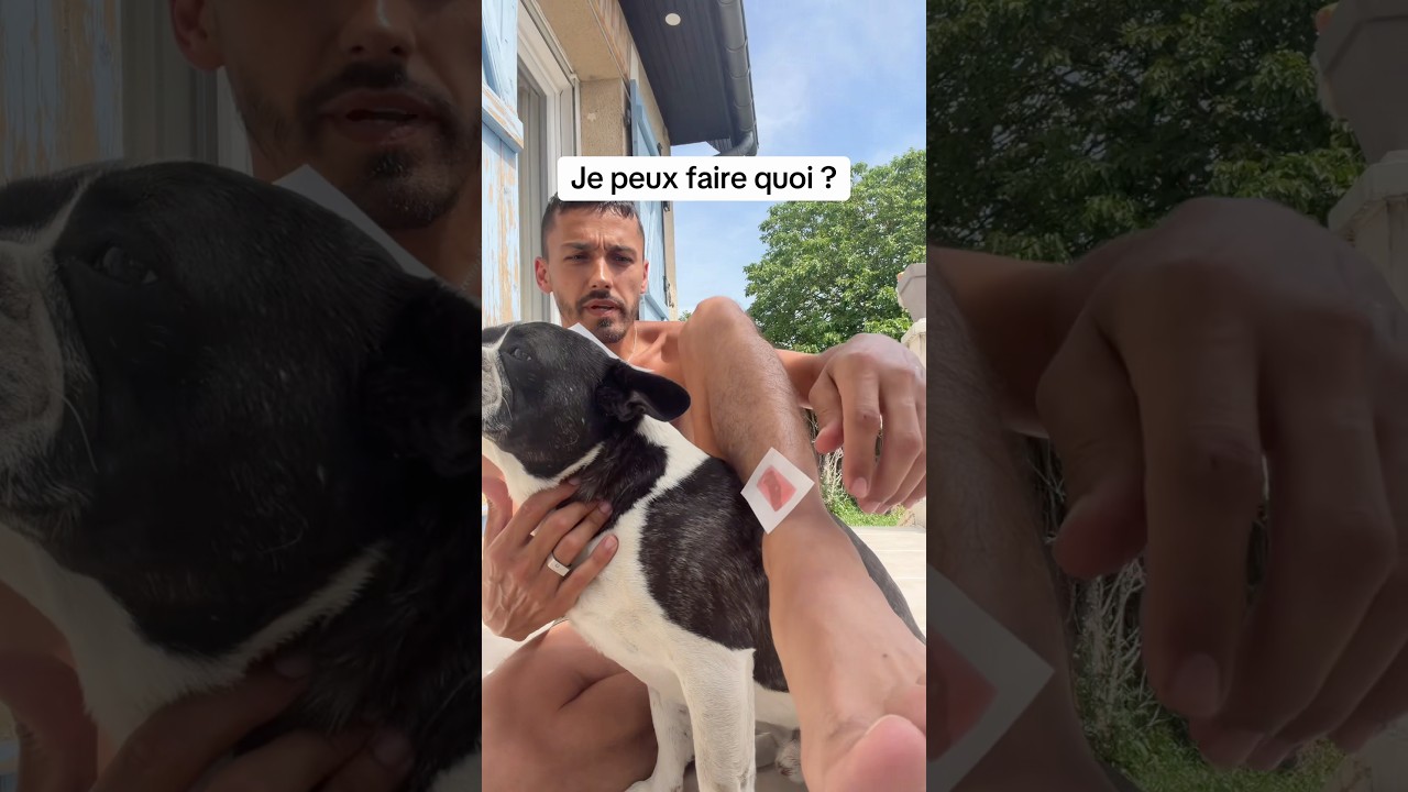 Comment je peux faire ? #shorts #shortvideo #humour