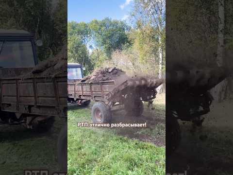 Чистим навоз, РТП разбрасывает #герефорд #навоз #чистка #уборка #farming#ферма #фермер #техника #кфх
