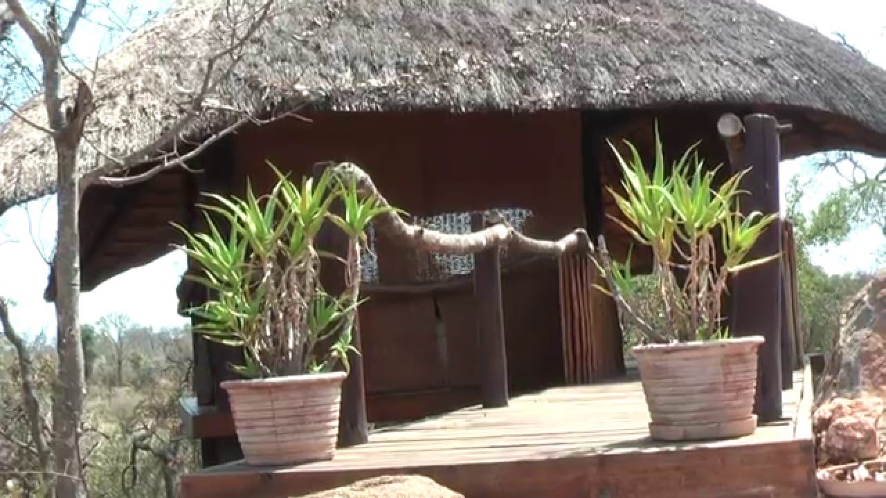 garonga safari camp youtube