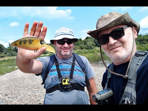 მონსტრები ავთოს მაგნუმის წინააღმდეგ