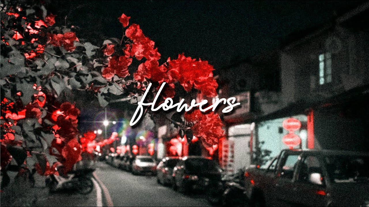 flowers don’t tell, they show. [lofi hip hop /beats to good vibe and relax] YouTube