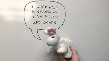 cPanel Tutorials - External Authentication via cPanelID