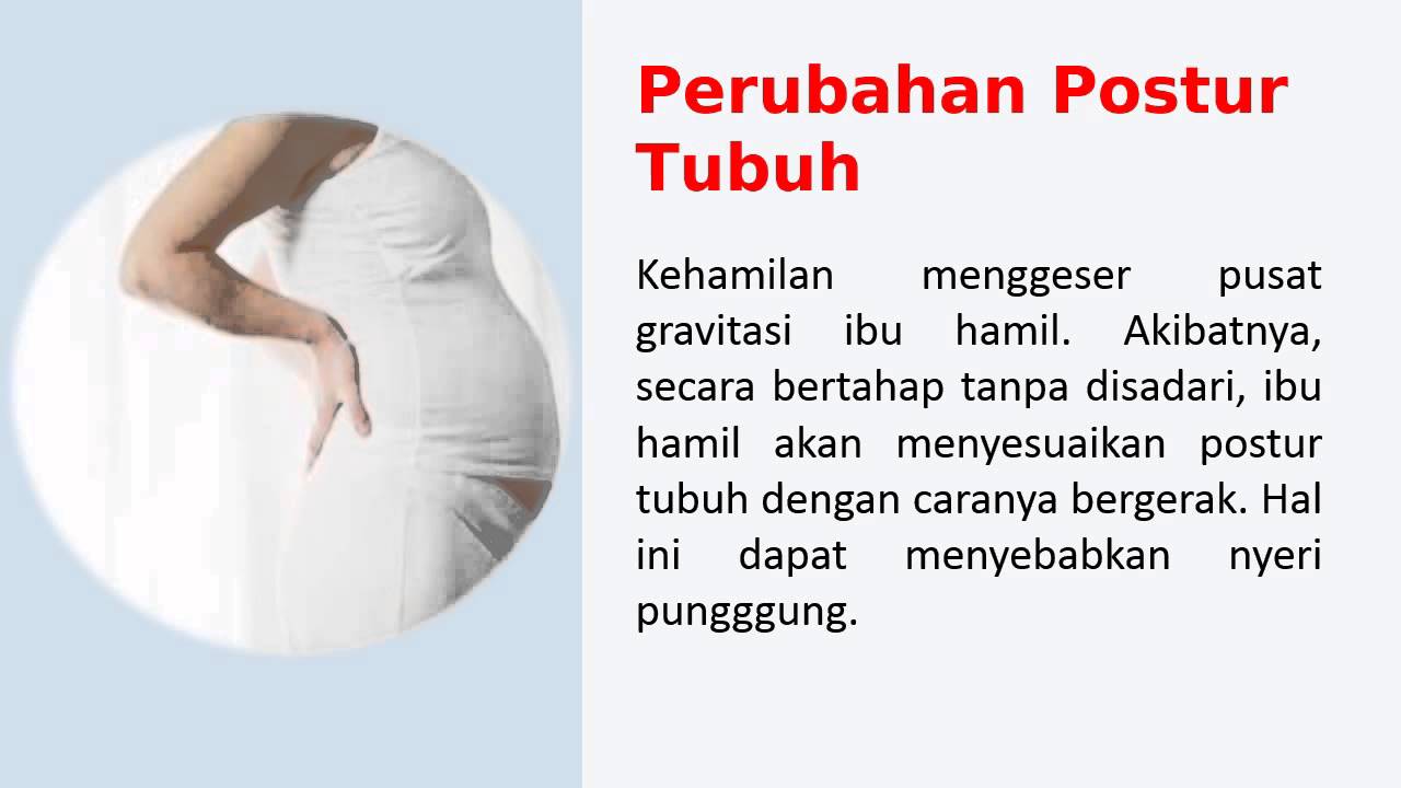 Waktu Hamil Keringat Berlebih Ayahbunda