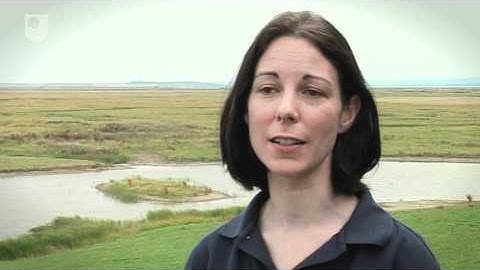 What is Managed Realignment? - Environmental Policy in an International Context (11/11)