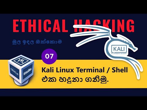 Introduction to Kali Linux terminal/Shell in Sinhala