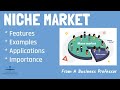 Business School 101: Niche Markets Quiz