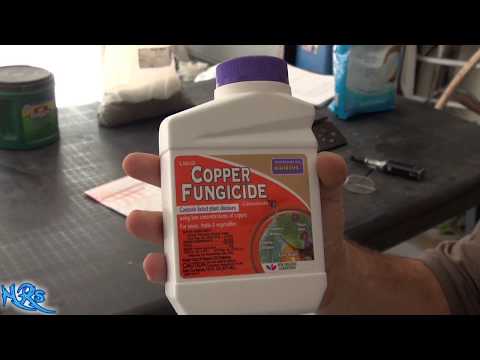 Video: Copper Fungicide Siv: Thaum Yuav Siv Copper Fungicide Hauv Lub Vaj