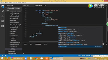 技术胖Vue2 0基础视频21watch选项