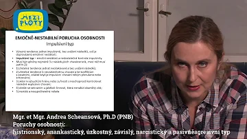 Jaké jsou povahové rysy osobnosti?