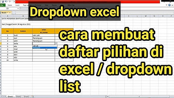 cara membuat dropdown list di excel | daftar pilihan excel