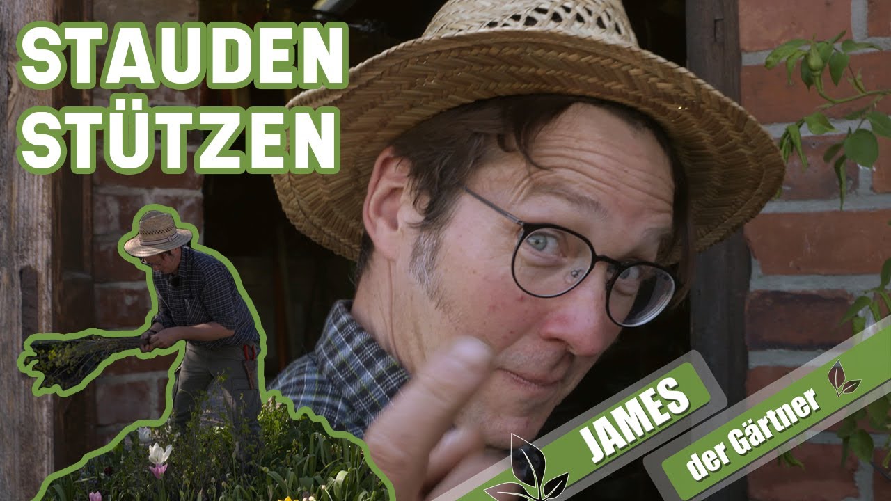 Stauden Halt geben so fallen Pflanzen im Garten nicht um James der