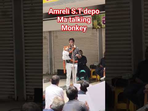#Amreli #trending #shorts #trendingshorts#viralvideo #talkingmonkey#viralshorts #youtubeshorts#like
