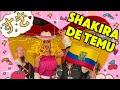 CONCIERTO DE SHAKIRA EN ECUADOR