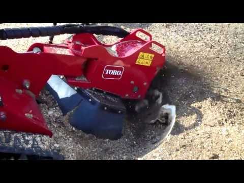 Tri-State Bobcat Toro stump grinder rental. HARD RED OAK! MedicWhere to goristatebobcatParaffins