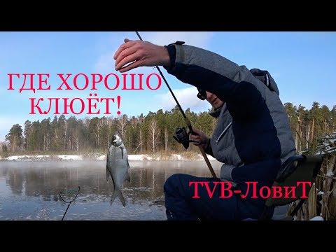 Where they&rsquo;re biting! The best fishing on the feeder in October autumn 2017 Ural fishing