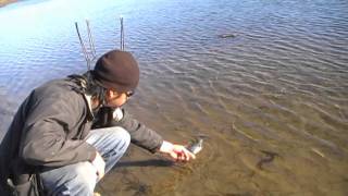 The Search For The Patagonian Toothfish Episode 2