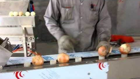 Onion peeling and root cutting