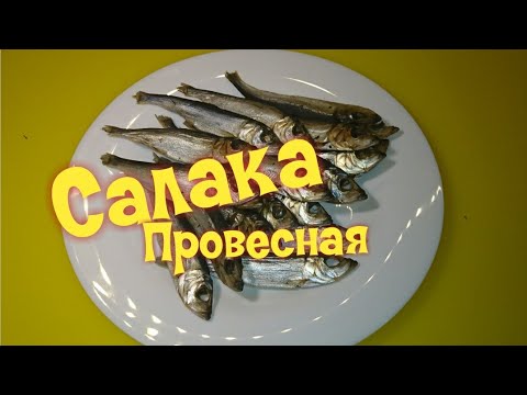 САЛАКА ПРОВЕСНАЯ / Baltic herring