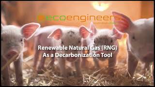 Renewable Natural Gas as a Decarbonization Tool