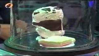 André van Duin Show   Proef mee    met professor H G 3