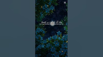 أحترم القران الكريم دقيقه فقط و أكتب #يارب ❤❤❤❤❤❤❤❤❤