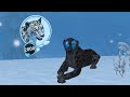 Reaching lvl 2000 in snow leopard family sim online no hacks