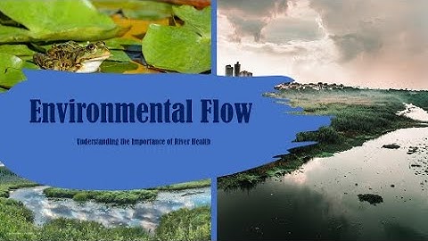 Environmental Flow