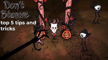 TOP 5 Tips and tricks in don