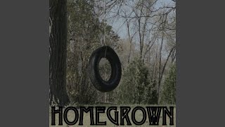 Homegrown - Tribute to Zac Brown Band (Instrumental Version)