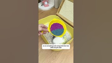 Mèo Tiêu Chảy? Cát Này Vẫn Xử Lý Gọn! #notapetvn #meocung #thucung #cuncung #catmeo #chamsocthucung