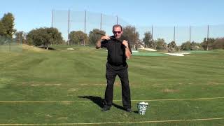 APS: A Perfect Swing Academy, Daniel Shauger only Master with Streaming Videos are DOWN, UNDER & UP