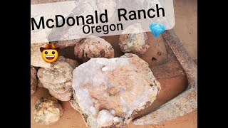 Rockhounding Oregon - McDonald Ranch