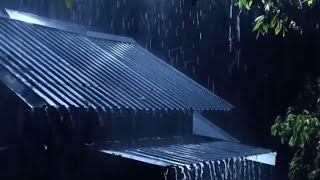 HEAVY RAIN | ASMR RAIN SOUNDS by SASMR 93 views 2 weeks ago 2 hours