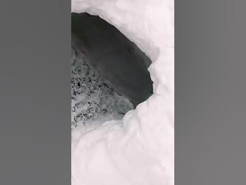 пешера🥰 - YouTube