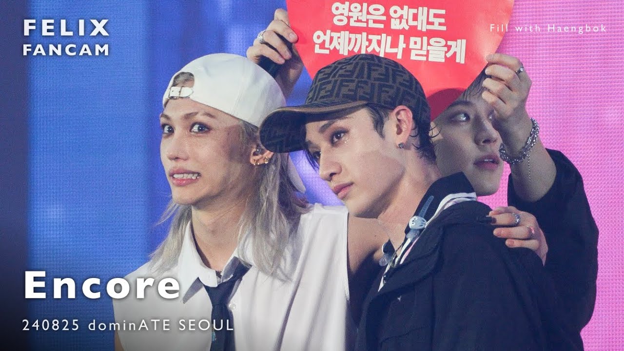 [4K60fps] 240825 Encore dominATE SEOUL 필릭스 Stray Kids [Felix FanCam]