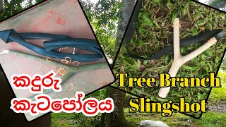 How to make a slingshot from a tree branch | කදුරු කැටපෝලය | katapolayak hadamu