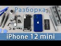 Разборка iPhone 12 mini