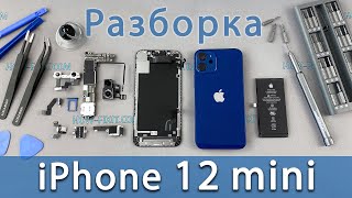 Разборка iPhone 12 mini