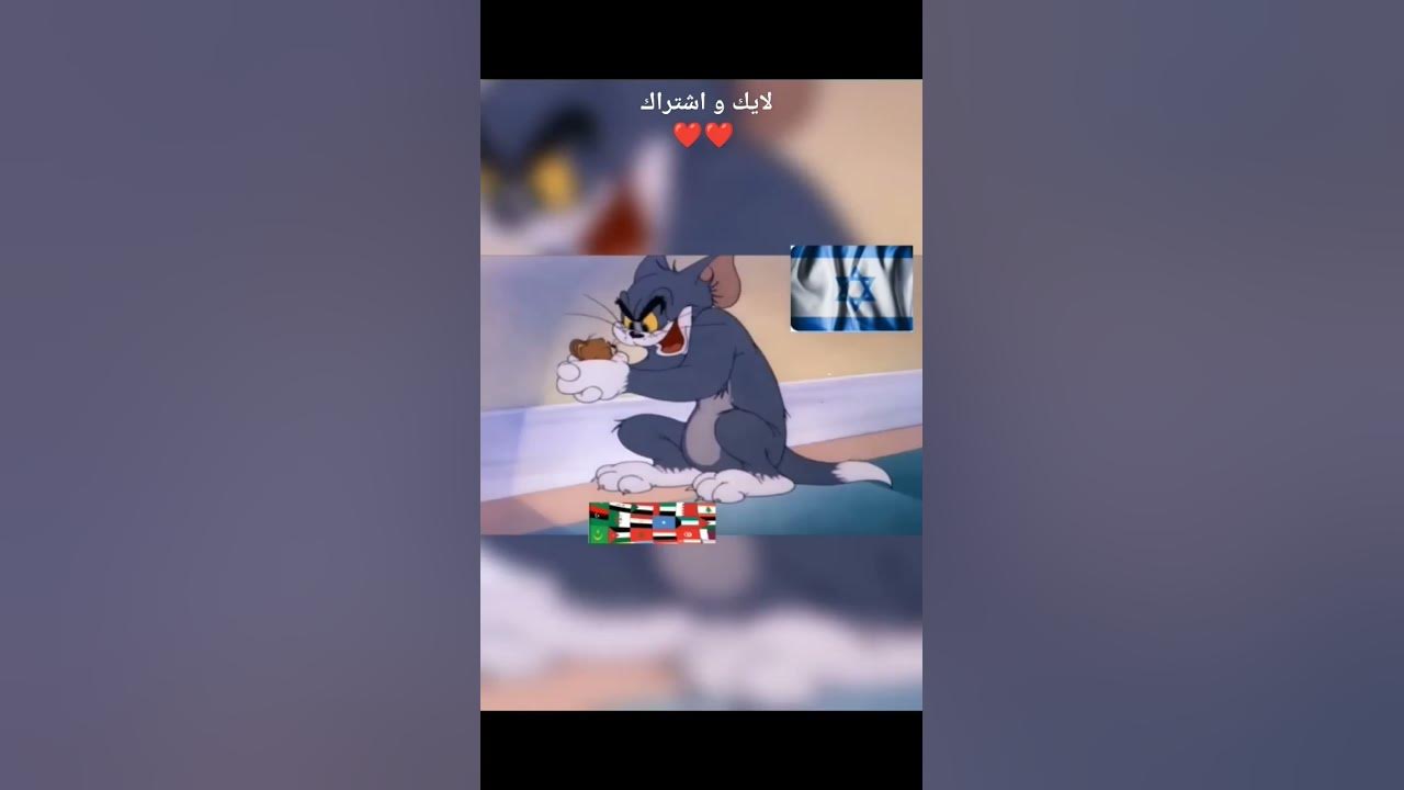 "Palestine's Struggle Against Foreign Nations (Tears of the Orphan) #Body_Gaming_IVA #Arrow_Brigade"
