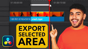 How to Export Only a PART of Timeline in DaVinci Resolve
