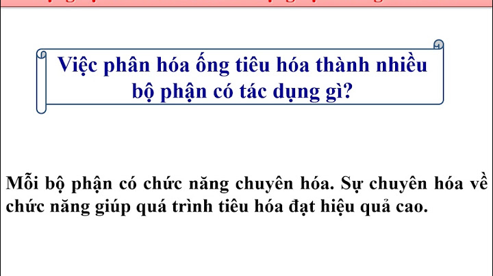 So sánh quá trình tiêu hóa của thú ăn thịt