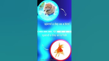 What would you rather? Part 6  #thisorthat #quiz #whatwouldyourather #shorts