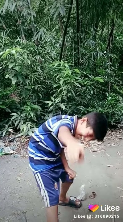 RaiBB