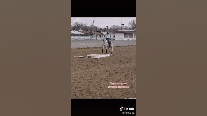 самый умный конь которого я видела) #лошади #конь #нетглаз